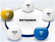 爆炸性气体场所使用花季传媒官网入口设备的IP防护等级要求