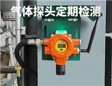 GB 12358-2024《作业场所环境气体检测报警仪器 通用技术要求》更新